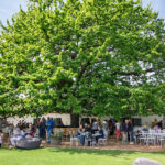 People enjoying food and wine outdoors under a large, lush green tree with tables and chairs set up on the grass at the Franschhoek Uncorked Festival.