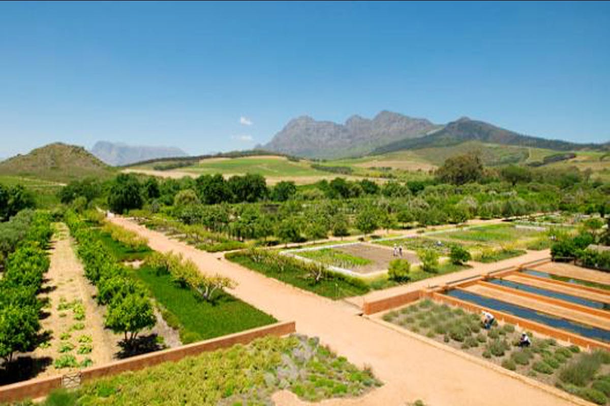 Must love meat - Babylonstoren Meat Evenings