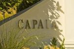 Capaia Cellars and Wine Sales