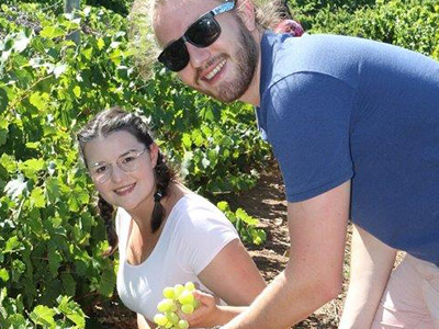 Paul Wallace Wines Annual Hanepoot Harvest Day