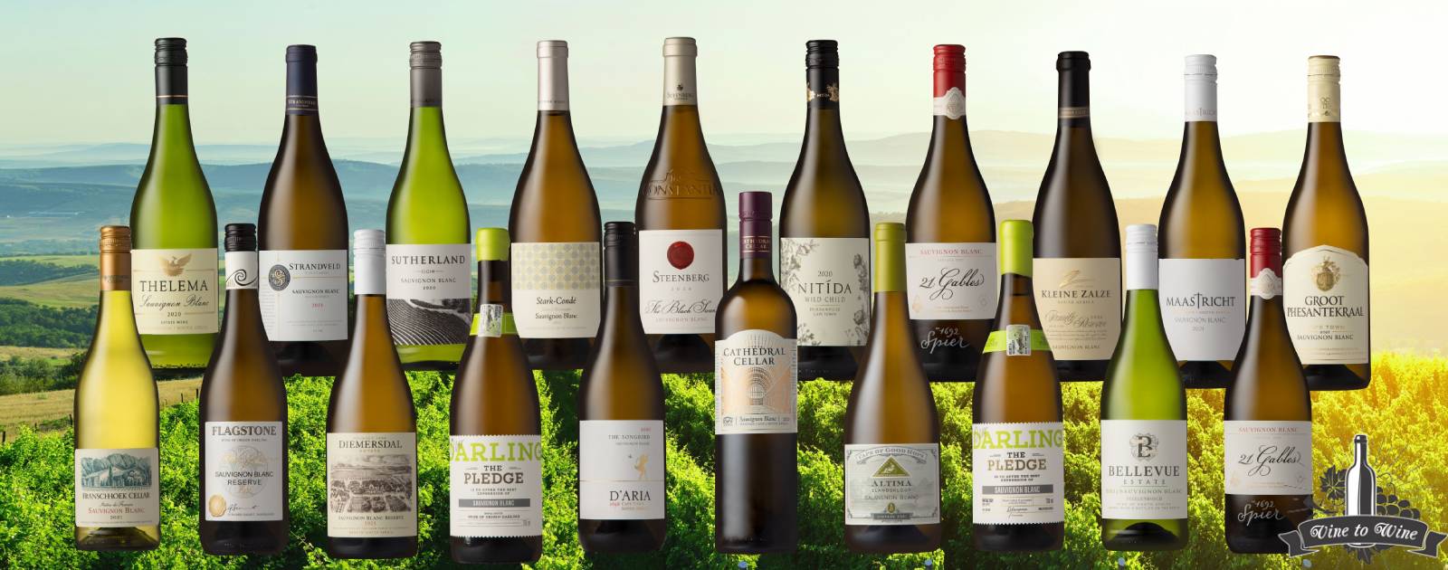 Sauvignon Blanc SA Top 10