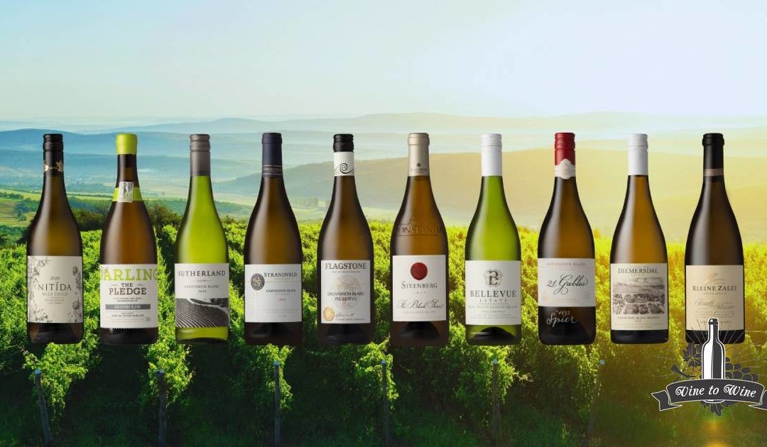 2020 VINTAGE EXCELS IN SAUVIGNON BLANC SA TOP 10