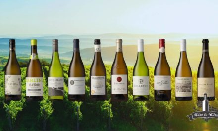 2020 VINTAGE EXCELS IN SAUVIGNON BLANC SA TOP 10