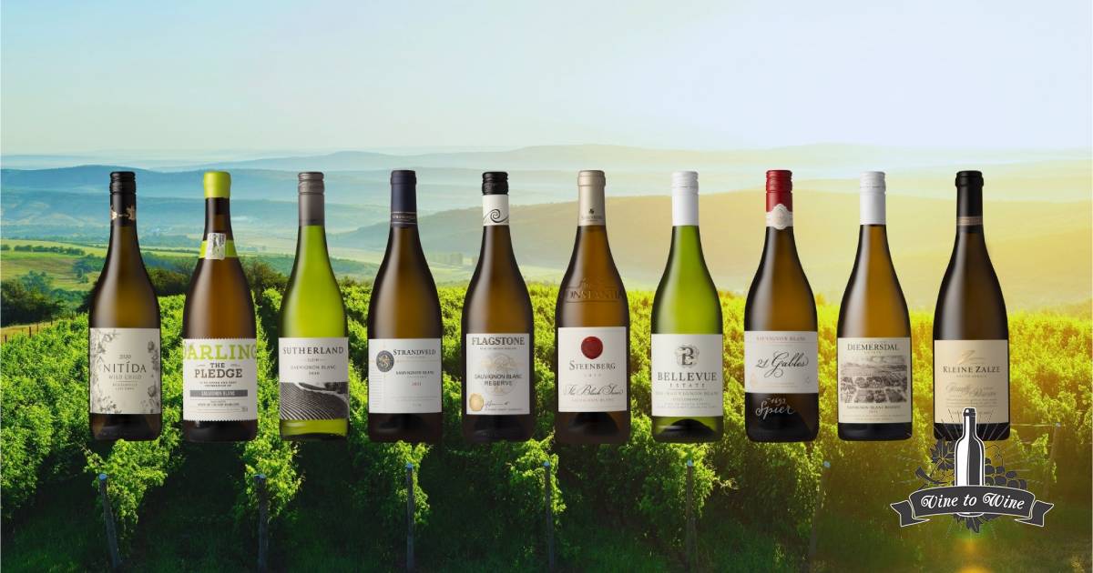 2020 VINTAGE EXCELS IN SAUVIGNON BLANC SA TOP 10