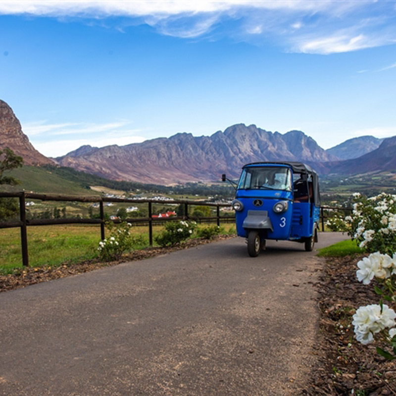 Tuk Tuk Franschhoek Logo