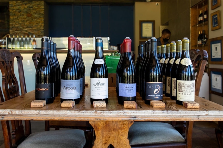 Hemel-en-Aarde Pinot Noir Celebration 2023